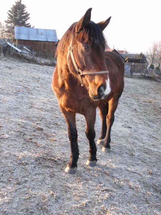 Vyjizdka_27._a_29._12_110.jpg