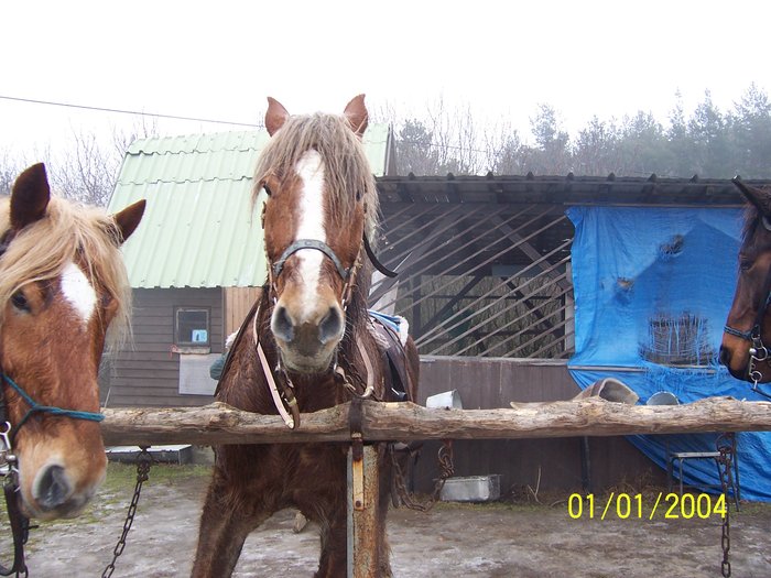 100_9373.jpg