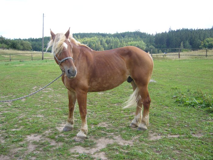 konici_modelove_027.jpg