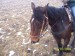 100_9340.jpg