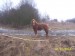 100_9365.jpg