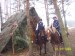 100_9379.jpg